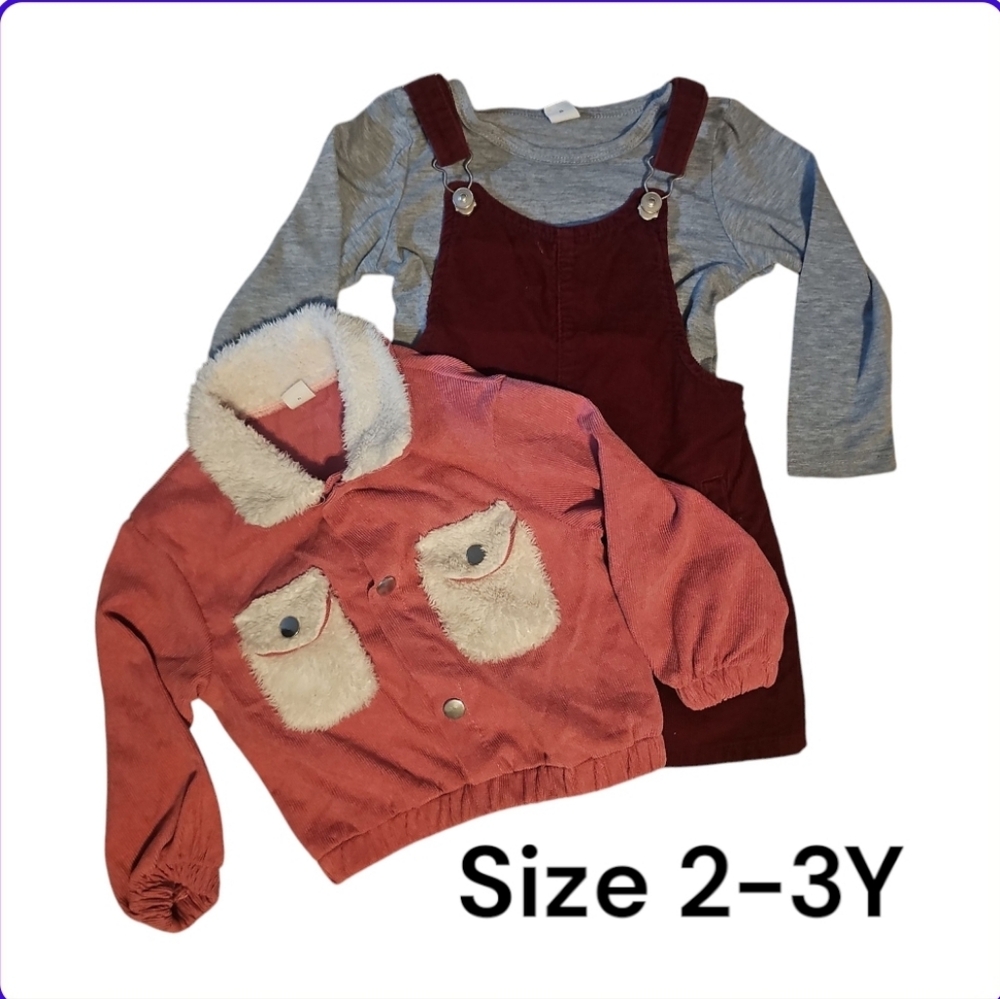 Pink and Gray Toddler Outfit Set